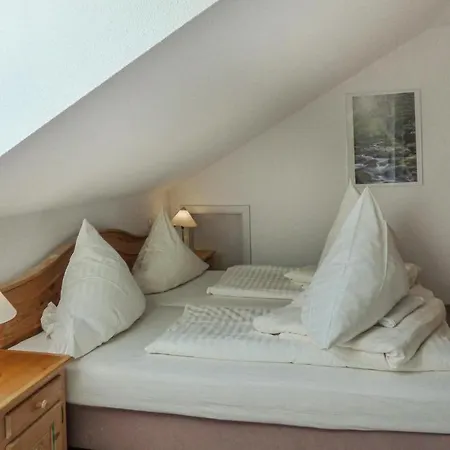 Cozy In With Sauna Apartment Viechtach